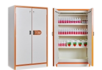 Armoire de sécurité COUPE-FEU 30 mn - Armoire de sécurité 2 portes - Rétention 42 L